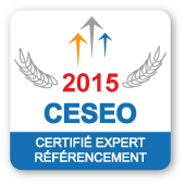 Badge CESEO Certifié 2015