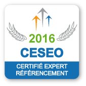 Badge CESEO Certifié 2016